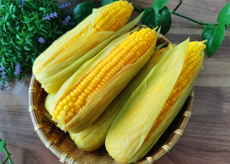 减肥期间吃什么掉秤最快 减肥期间吃什么掉秤最快不反弹