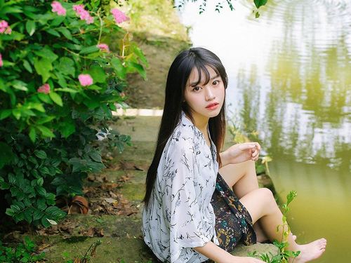 ͹����������� ͹������ܸ�����