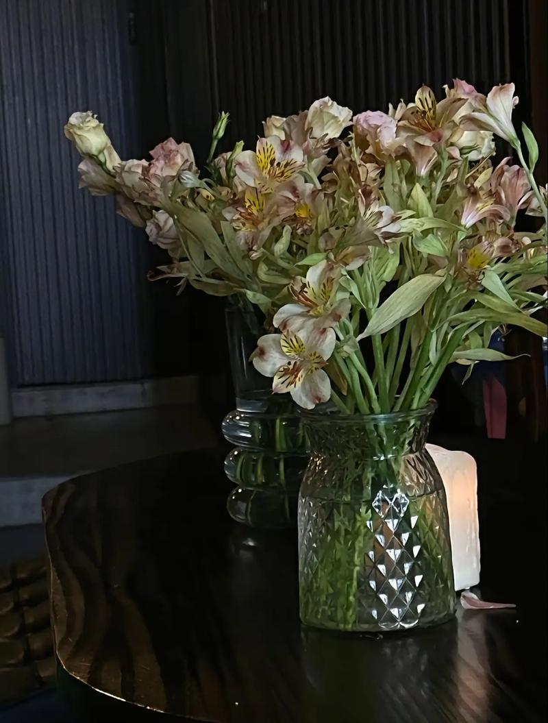 减肥很想吃东西怎么办 减肥很想吃东西怎么办