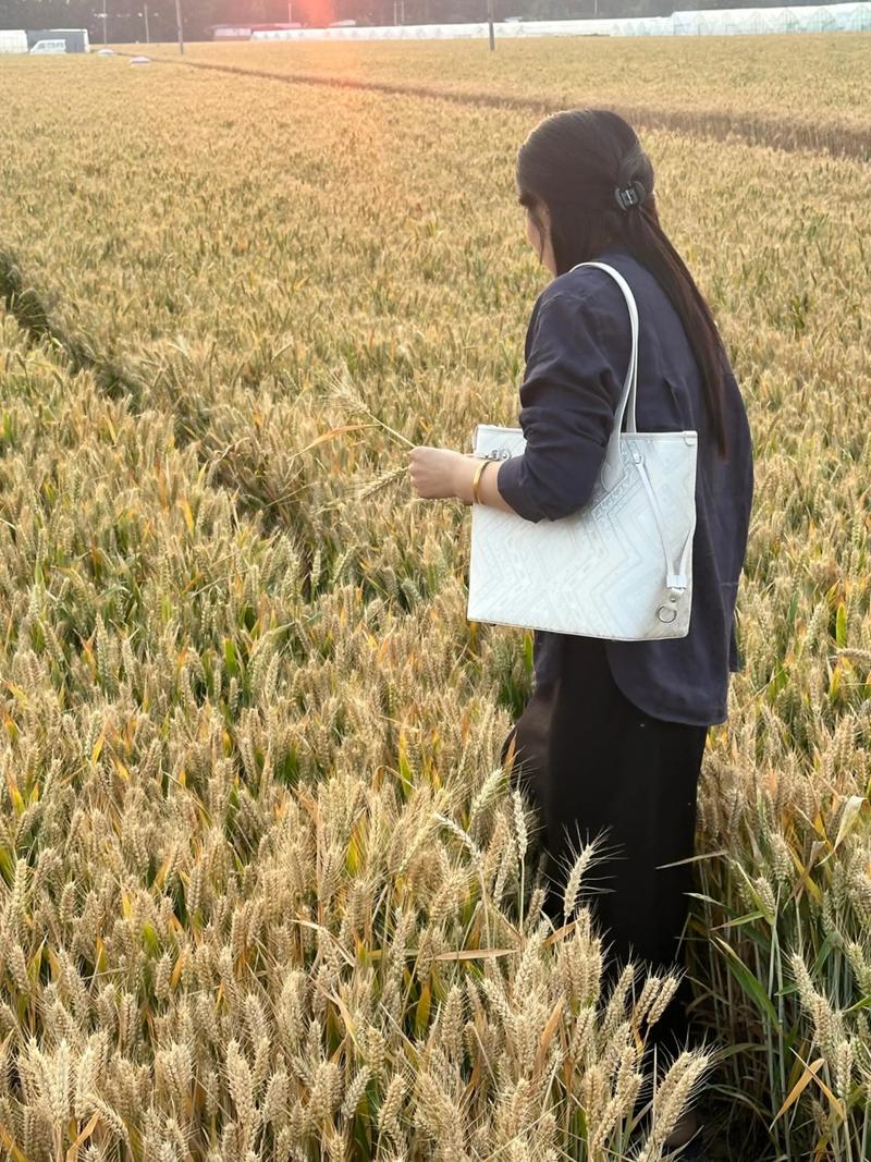 上班族高效瘦身秘诀揭秘 2025年快速减肥指南  上班族高效瘦身秘诀揭秘 2025年快速减肥指南