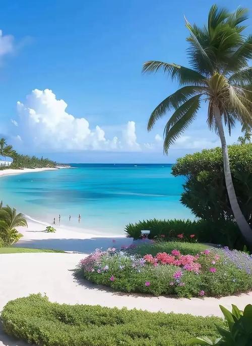 赛尔赛减肥药真的假的 赛尔赛减肥药真的假的