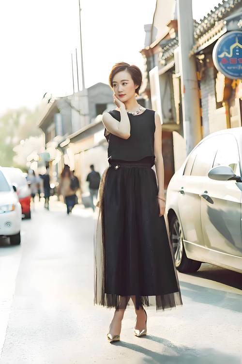 费翔的老婆费翔的老婆的个人资料 费翔的老婆费翔的老婆的个人资料