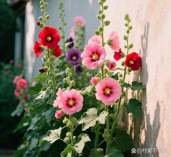 130斤减肥计划每天 130斤减肥计划每天喝多少水 130斤减肥计划每天 130斤减肥计划每天喝多少水