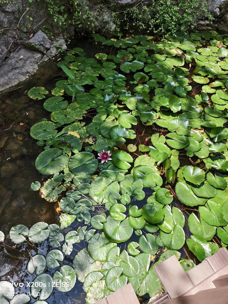 热量表最新报价 厂家直销 2025年价格趋势及选型指南 热量表最新报价 厂家直销 2025年价格趋势及选型指南