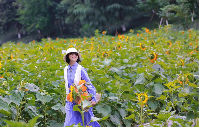 易到用车遭攻击 易到用车遭攻击