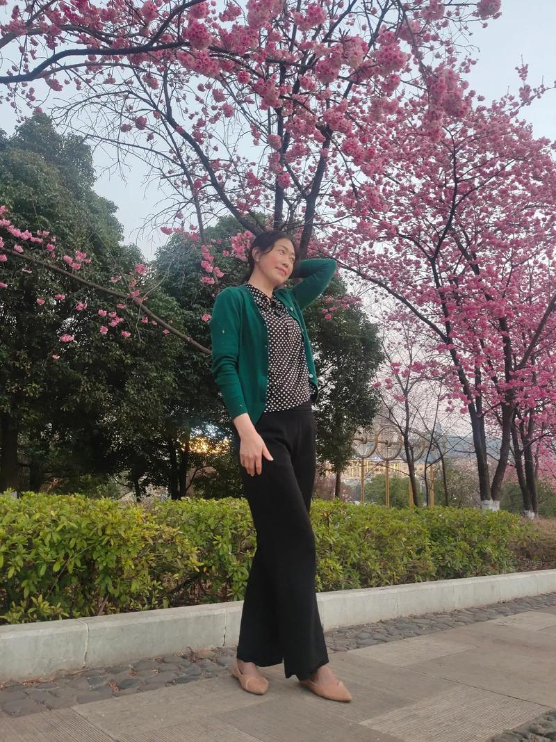 �㽶�׼��ʷ���Ч���� ��������� ��������������2026