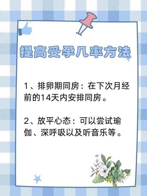 腿部力量训练方法揭秘 适合每天训练吗 年度解读 腿部力量训练方法揭秘 适合每天训练吗 年度解读