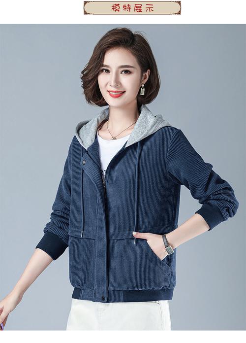 2025����Լ��ʲ�ʽ ��Ч�����߲˴��̵�