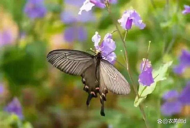 消耗240卡路里等于减肥多少 消耗240卡路里等于减肥多少