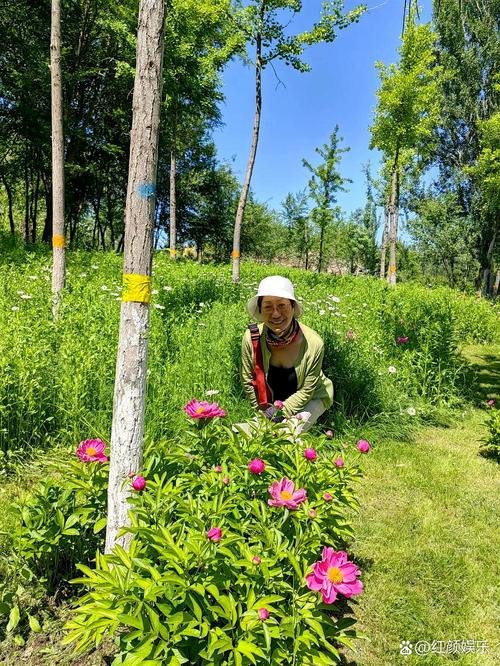 明星片酬排行榜第一名 明星片酬排行榜第一名